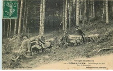VOSGES  GERARDMER  le schlittage des bois
