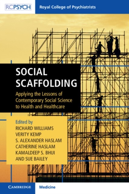 Social Scaffolding: Applying the Lessons of  by Richard Williams PAPERBACK