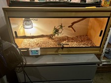 Lizard Terrarium Ideal for Bearded Dragon Comes with Full Kit Reptile Habitat