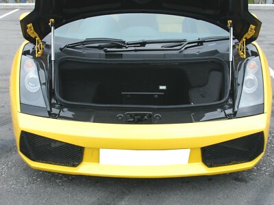 Carbon front Trunk Side Cover Surround Panel fit Lamborghini Gallardo Coupe 