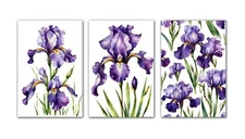 6 Assorted All Occasion Note Cards Blank Greeting Cards w/Envelopes Purple Iris