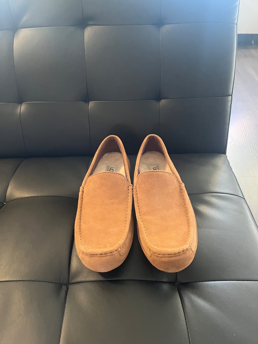 Brown UGG Men display picture 3