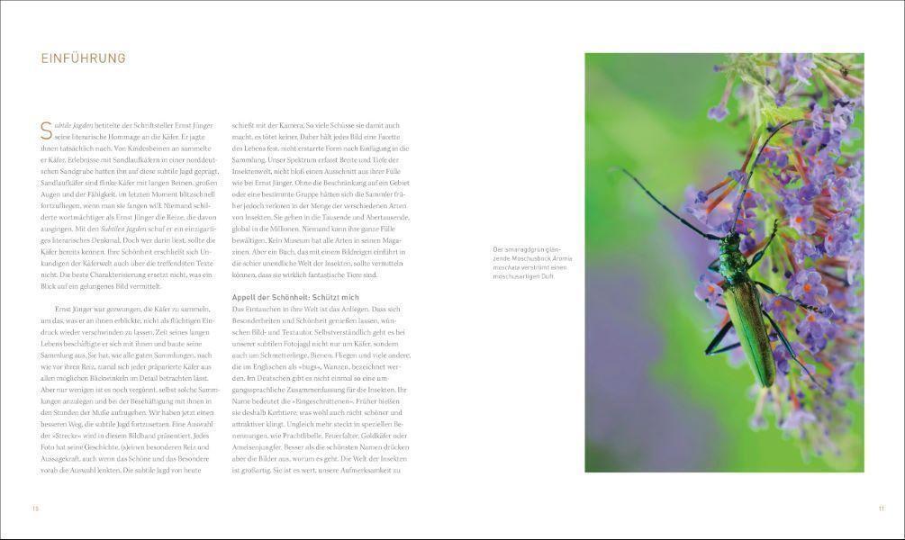 Thumbnail - Unsere Einzigartige Insektenwelt | Josef H. Reichholf (u. A.) |