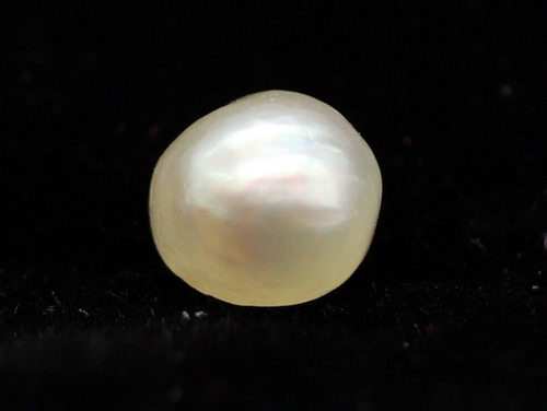 100%Natural Basra Mined Pearl No Nucleus Loose Gemstone 5 MM Round Shape 0.81 Ct