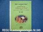 Bild 11 von 11