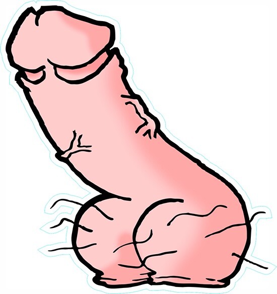 Bild 1 von 1