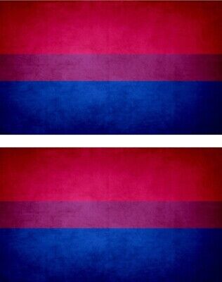 2x Sticker Flag Vintage Distressed Bisexual | eBay