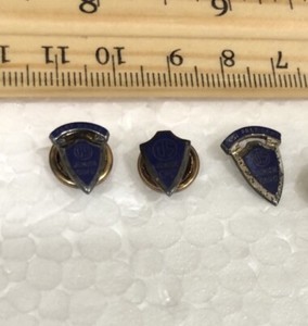 Fort Wayne And Past President Junior Chamber of Commerce Pin - Screwback