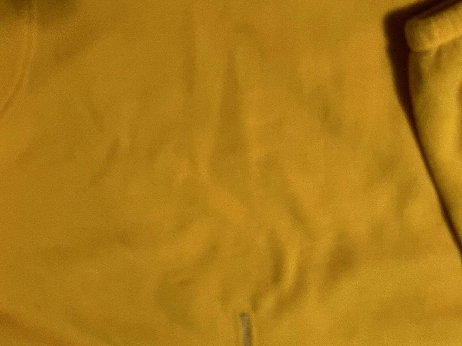 Picture 6 of 7