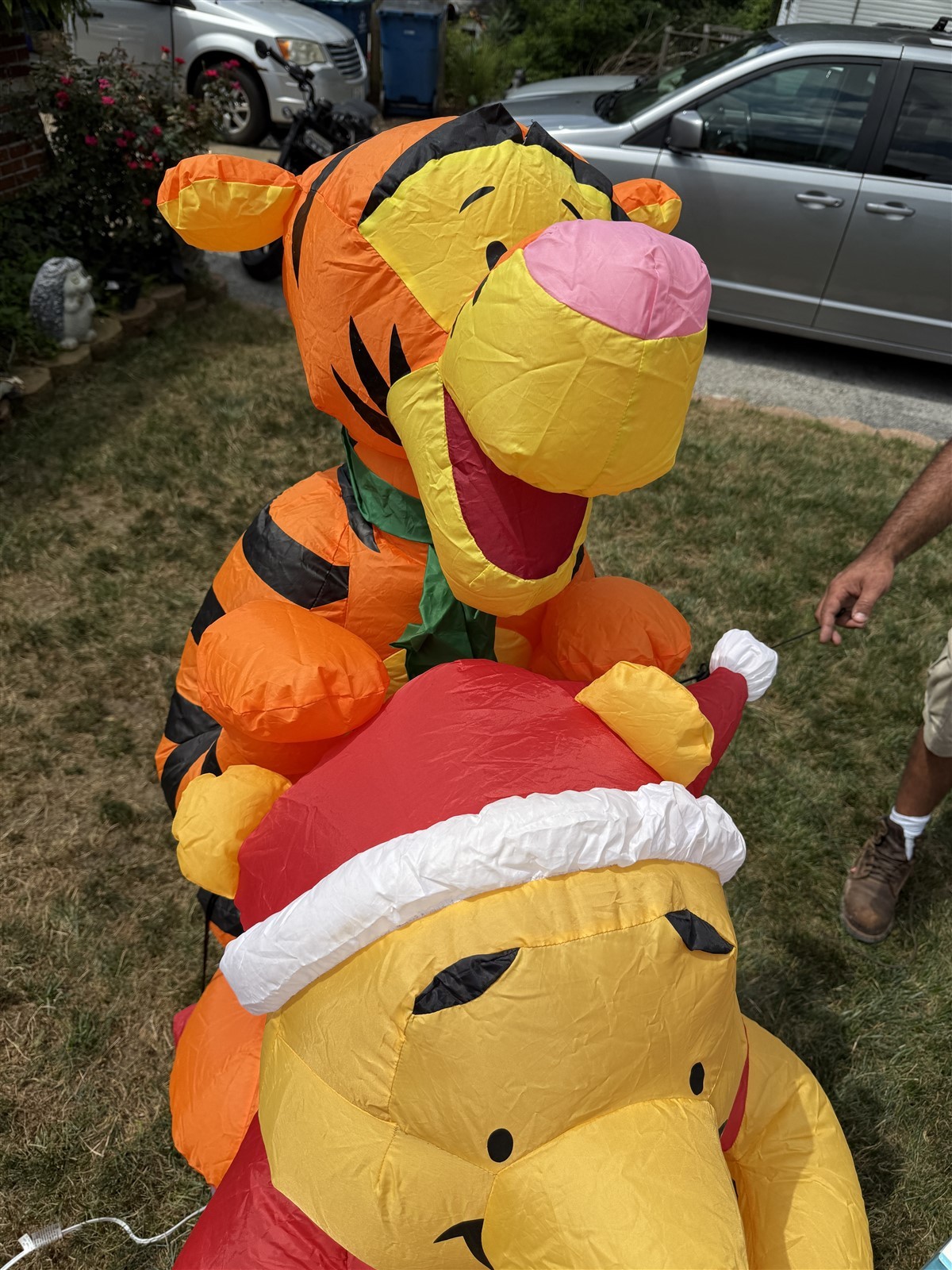 Picture 6 of 10