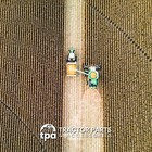 Foto 2 di 10