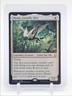 MOMO, FRIENDLY FLIER 2025 MTG AVATAR: THE LAST AIRBENDER PROMO 1/1 Q6016