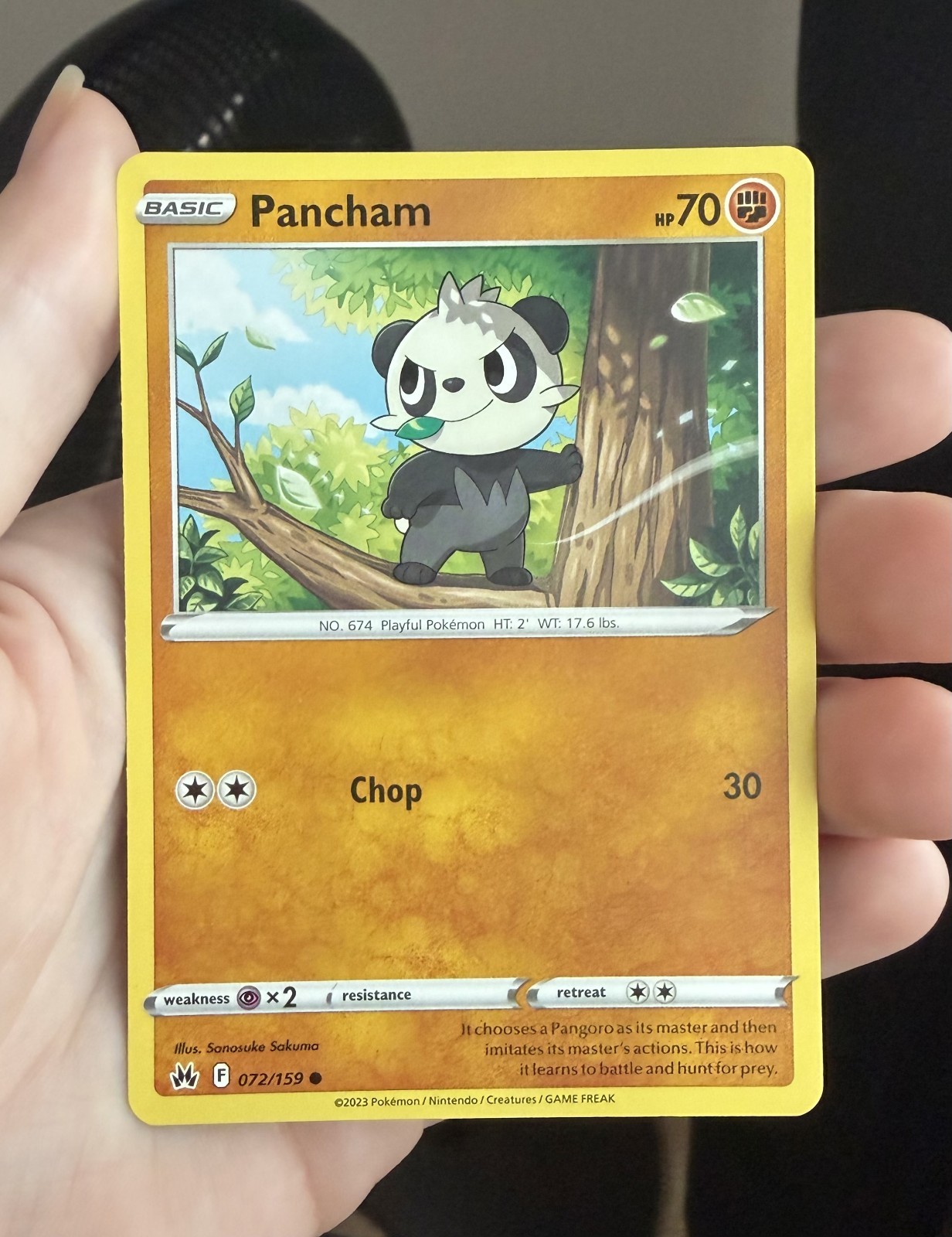 Pancham Pokémon Card