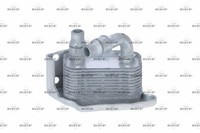 NRF ÖLküHler MotoröL Easy FIT 31209 FüR BMW E46 X3 Z4 E87 E91 E90 E81 E60 X1 E61