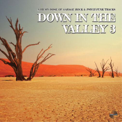 Альбом различных исполнителей Down in the Valley 3 (винил) из 12 альбомов (ИМПОРТИРОВАН из Великобритании)