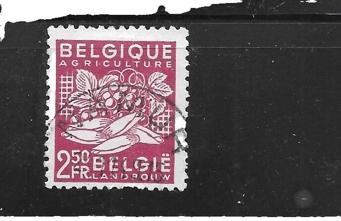 Flores sellos usados belga y Colonias