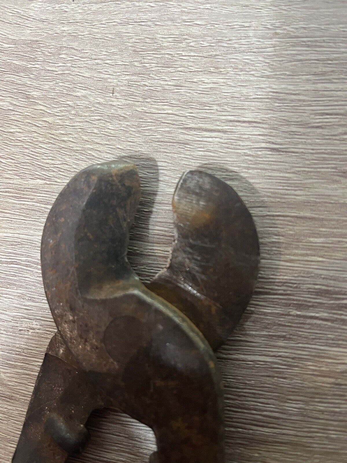 Foto 3 di 3