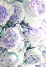 Purple Peonies Shabby Chic 8x10 Fabric Block - BUY 2 FABRIC LISINGS, GET 1 FREE