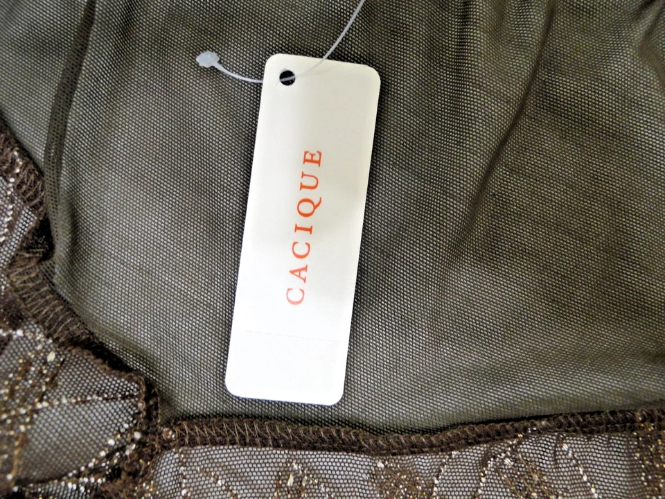 NUEVO CON ETIQUETAS Bragas Cacique Marrón Descarado Champagne Floral Encaje Lane Bryant 22/24 Foto 4 de 4