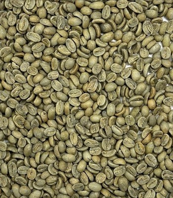 Green Coffee Beans / Guatemala Finca Santa Margarita/ 5 Pound / UNROASTED