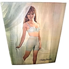 DAISY FRESH LINGERIE 1960'S VARI-VUE 14 X 16 INCH LENTICULAR 3-D PICTURE