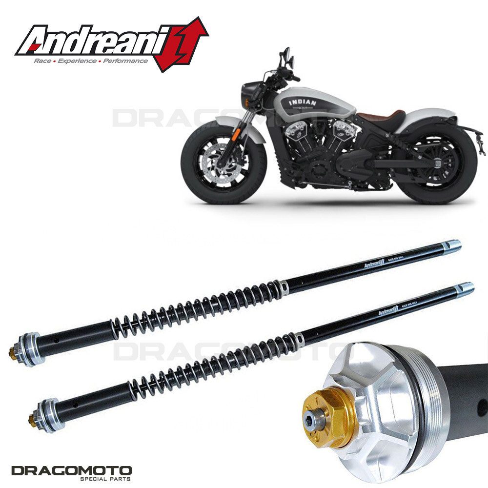 INDIAN Scout Bobber 2018-2024 cartridge ANDREANI 105/I01E MISANO