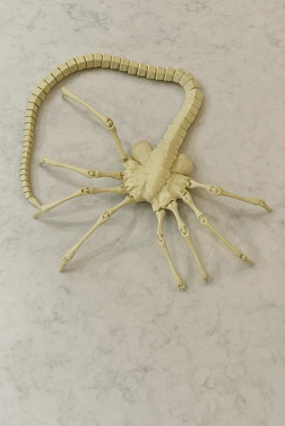 Alien Romulus Facehugger 1:1Replica Prop Cosplay Halloween Costume AccessoryNEW - Image 2 of 3
