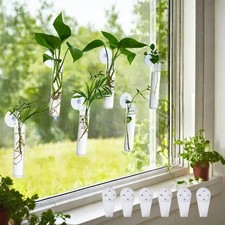 6 pcs Window Propagation Stations, Plant Propagation Tubes with suckion Cups ...