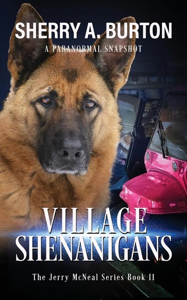 Sherry A. Burton | Village Shenanigans | Taschenbuch | Englisch (2022)-image