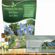 5 LBS Heirloom Borage Herb Seeds For Microgreens or Sprouting