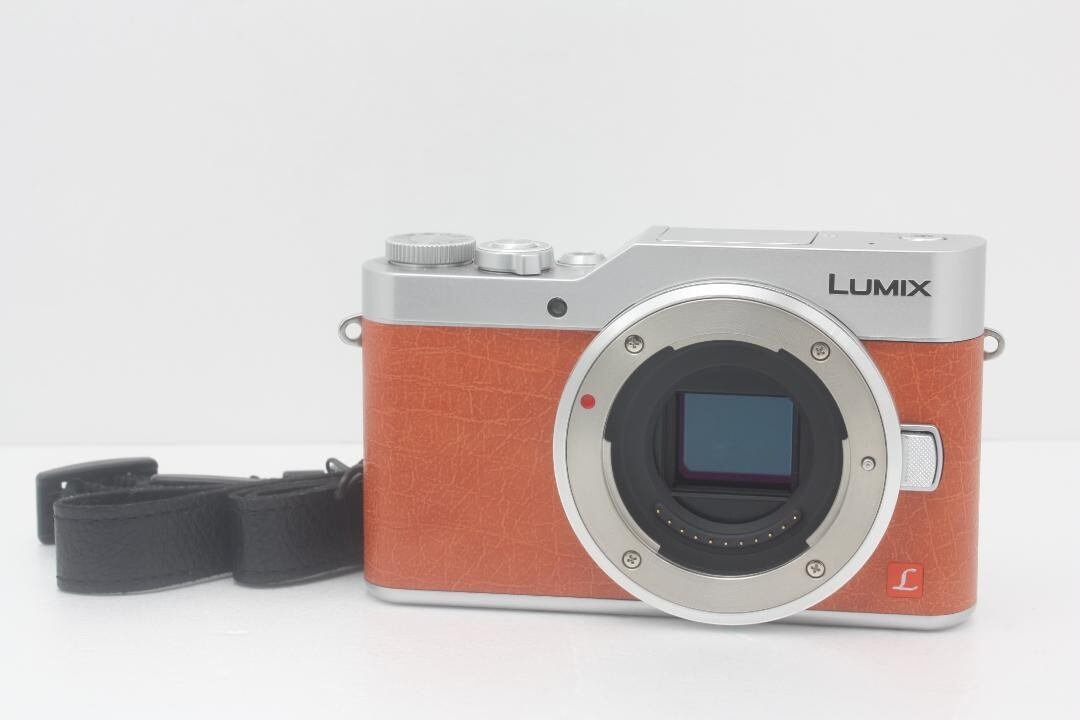Panasonic LUMIX DC-GF9 digital single lens reflex camera