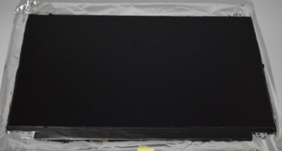 Original Lenovo FULL HD IPS Non-Touch LCD Display für T570 T580 USED 00UR885 B