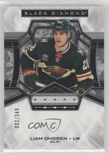 2024-25 Upper Deck Black Diamond Rookies 2/349 Liam Ohgren #BDB-LO 1q2