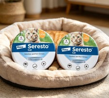 2PACK Adjustable Collar for Cat Soft Durable Comfortable Pet Collar