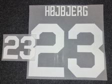 Original Authentic Dänemark Højbjerg 23 Trikot-Flock HALO 2026