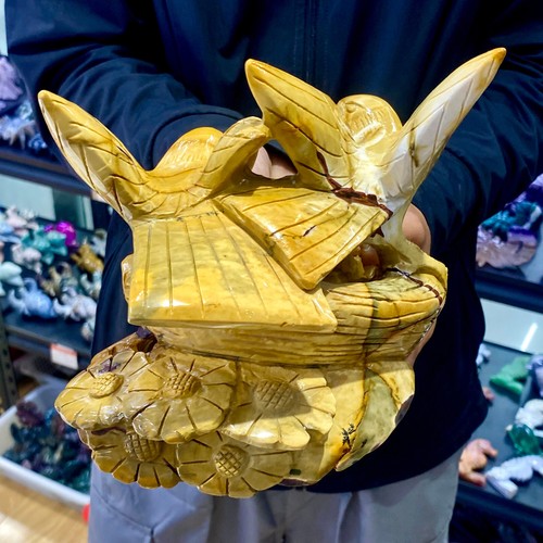 5.7LB Natural Egg Yellow Stone Crystal quartz Hand carving bird mineral Specimen - 第 22/22 張圖片