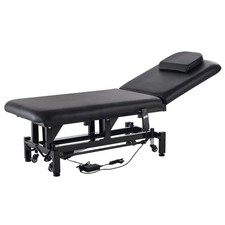 Professional Electric Lift Massage Table, 0-45  Adjustable Backrest Medical