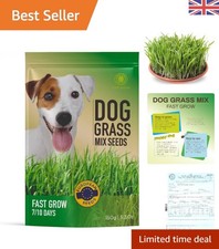 Fast-Growing Dog Grass Mix with European Seeds - 150g for Healthy Digestion 66.60 per kilo