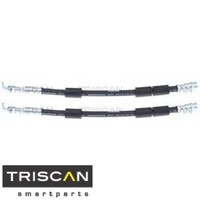 2X Bremsschlauch Triscan 815050241 2 BremsschläUche Rechts Links Hinten