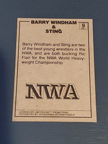 STING 1987 NWA WONDERAMA TEST MARKET BROWN BACK ROOKIE CARD Rare #9 Short Print - Picture 5 of 5