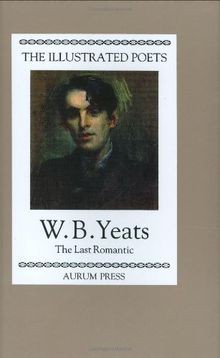 Selected Poems: Last Romantic (Illustrated Poets) von Ye... | Buch | Zustand gut
