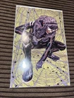 Amazing Spider-Man - Issue #20 - Turini Virgin Variant NM+