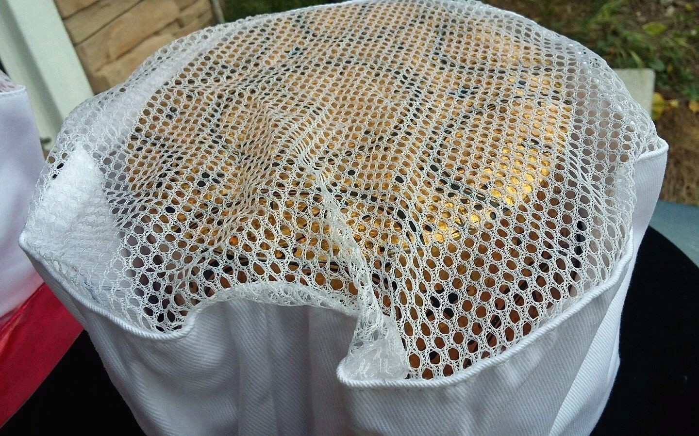 Picture 6 of 6