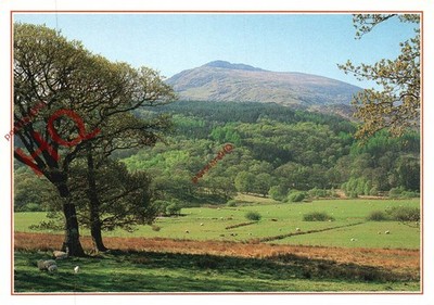 Ansichtskarte:;Moel Siabod, aus Capel Curig [J Arthur Dixon] 29434