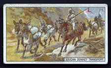 BRITISH AMERICAN (PLAIN) - TRANSPORT OF THE WORLD - SOUDAN DONKEY TRANSPORT