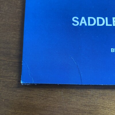 THE BLUE NILE Stay (extended remix) UK vinyl 12