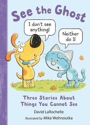 David LaRochell See the Ghost: Three Stories About Things Yo (Gebundene Ausgabe)