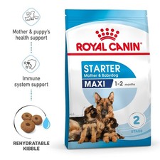 Royal Canin Maxi Starter Mother & Baby Adult & Puppy Dog Food - 15kg BBD 11/2024 6.25 per kilo