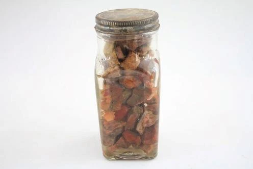 Tasmanian Gemstone Material in Vintage Cream Jar Agate Onyx Wood Fern Etc - Picture 7 of 7