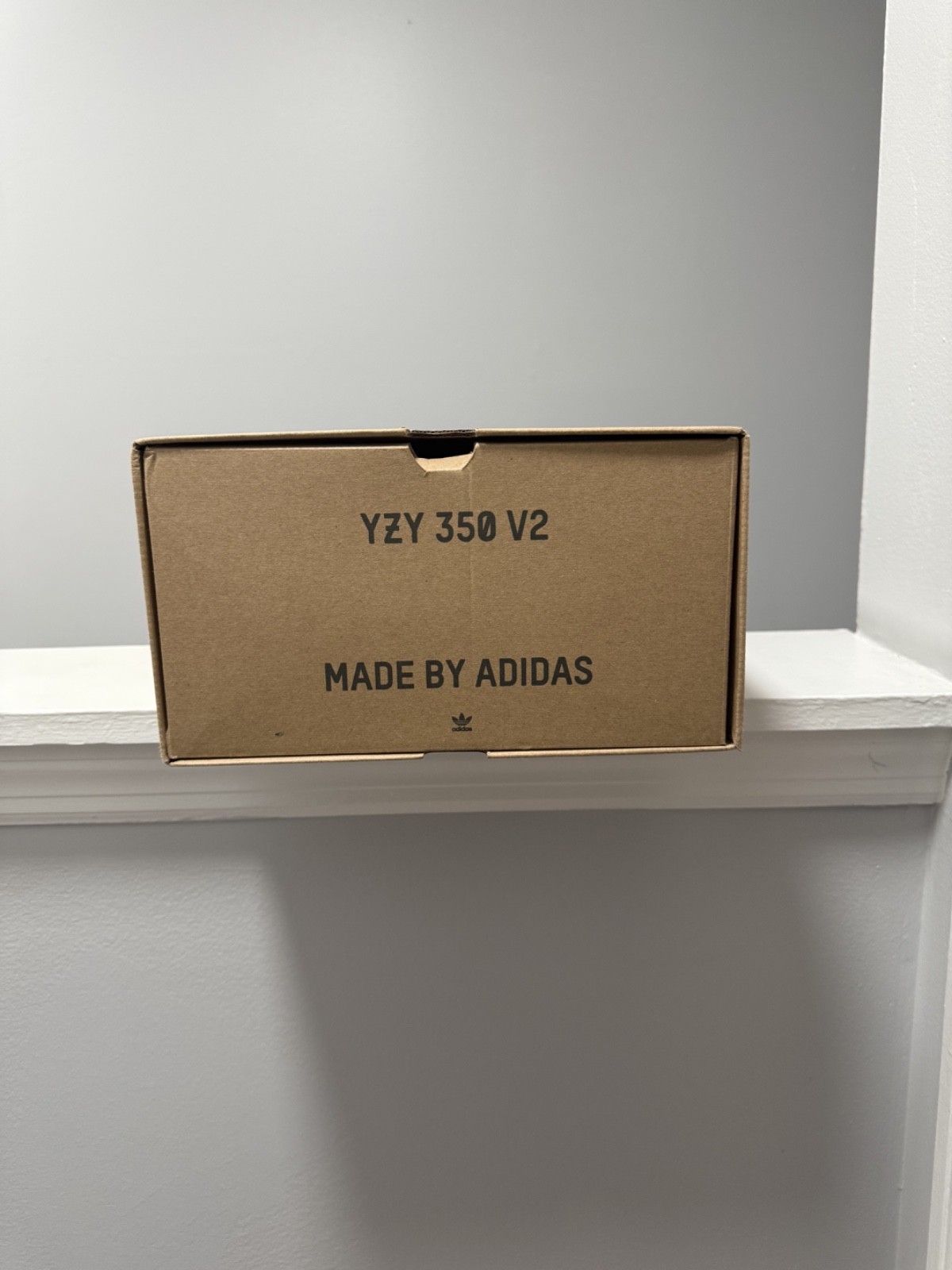 Size 14 - Adidas Yeezy Boost 350 V2 Low Bone New In Box 2022 Manufacture thumbnail 9